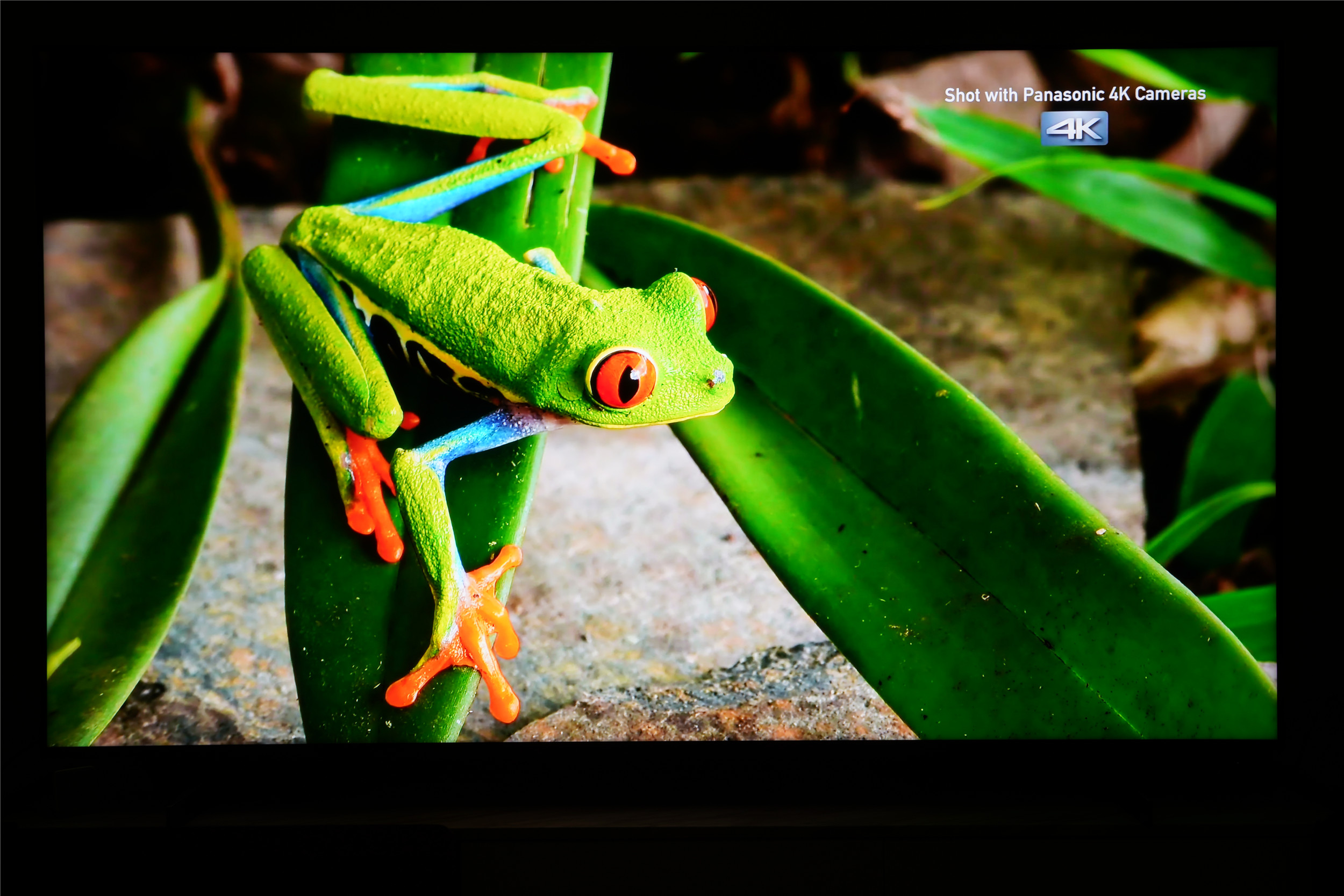 如何评价tclx11g电视,tclx11qd-miniled电视测评