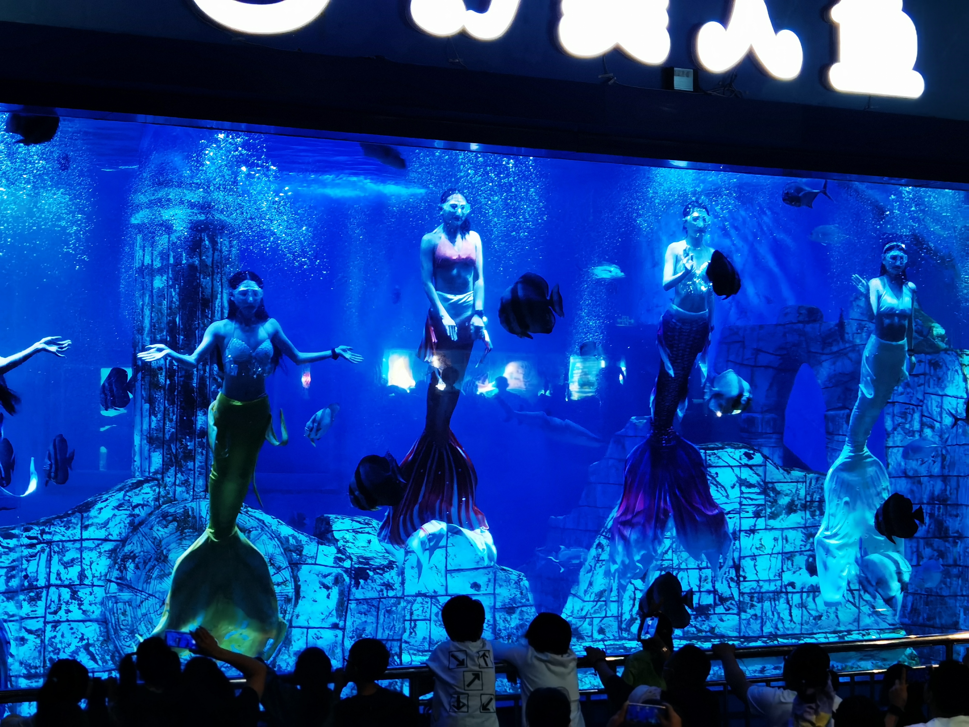 寿光极地海洋游记,五一寿光海洋极地世界