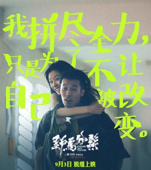 平遥电影节先导片,平遥电影节2019有几部影片