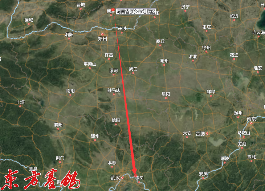 武汉福齐获奖鸽,2019武汉福齐国际集鸽名单