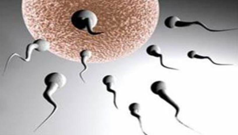 中医治疗不孕症最佳方法,中医治疗不孕不育有治疗好的吗