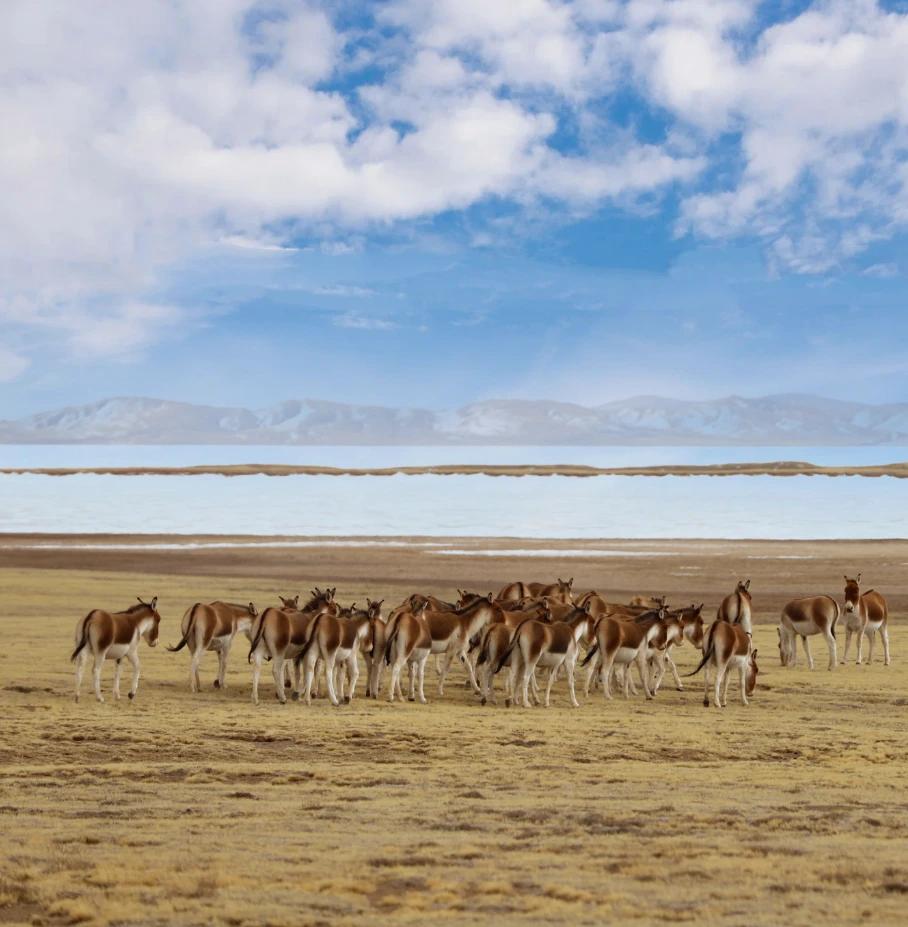 雅丹地貌之旅攻略,西北大环线旅游8天游攻略
