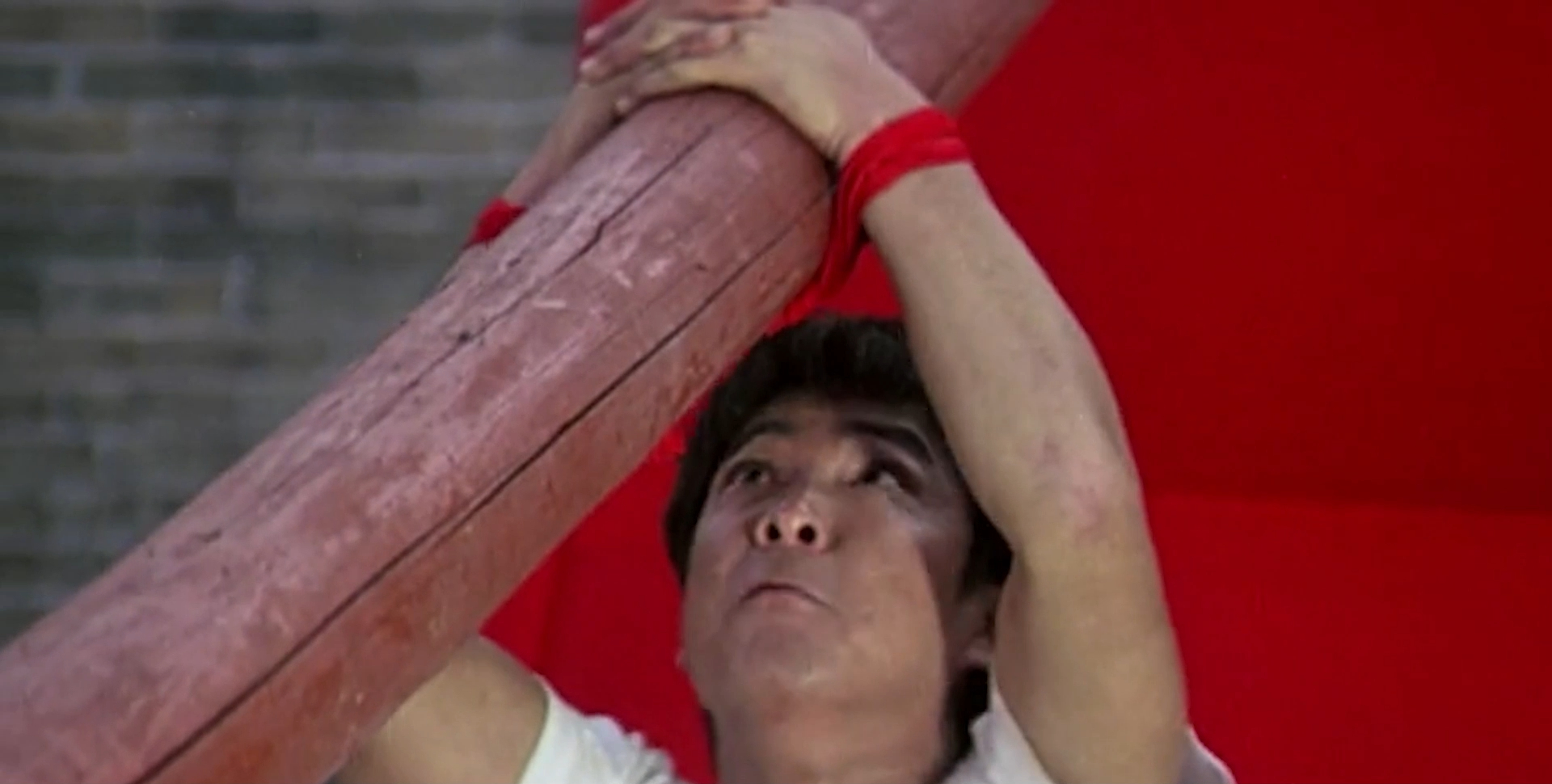 赶鸭子的小伙子,赶鸭的小伙