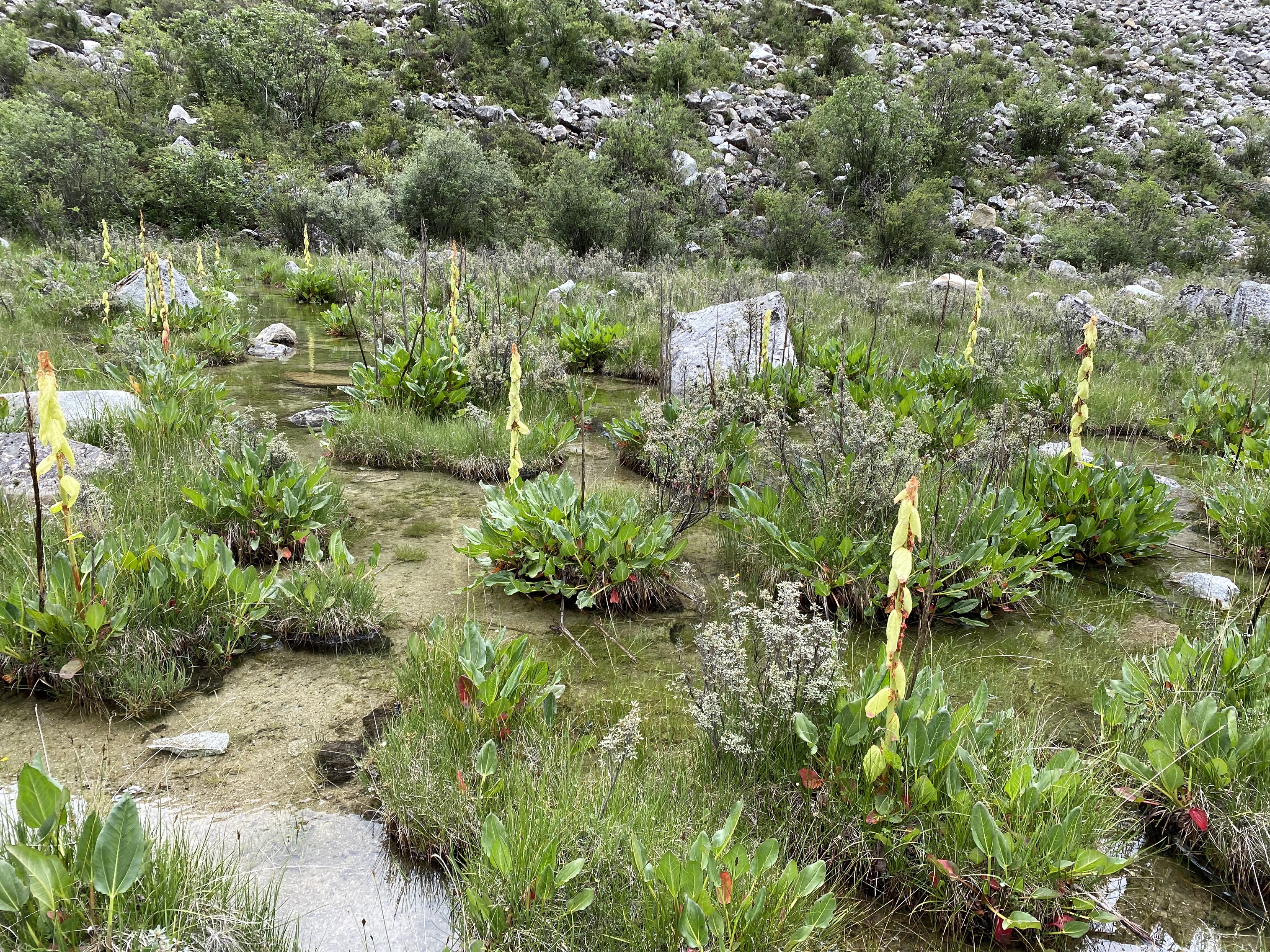 理塘格聂神山怎么走,理塘格聂神山故事