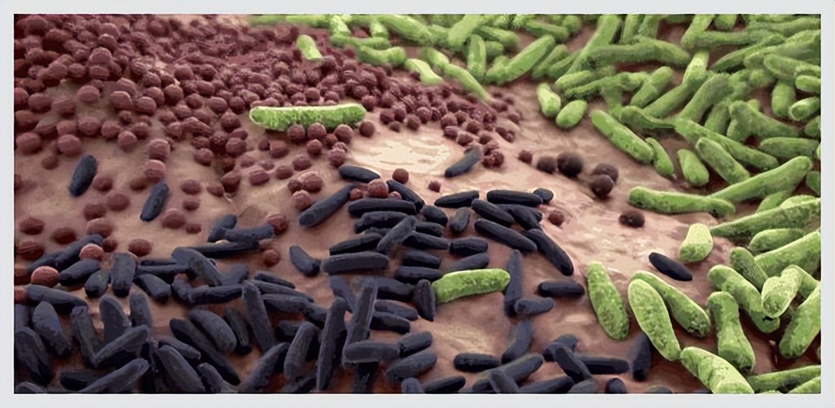 孙叔公的药对身体有伤害吗,孙叔公科普