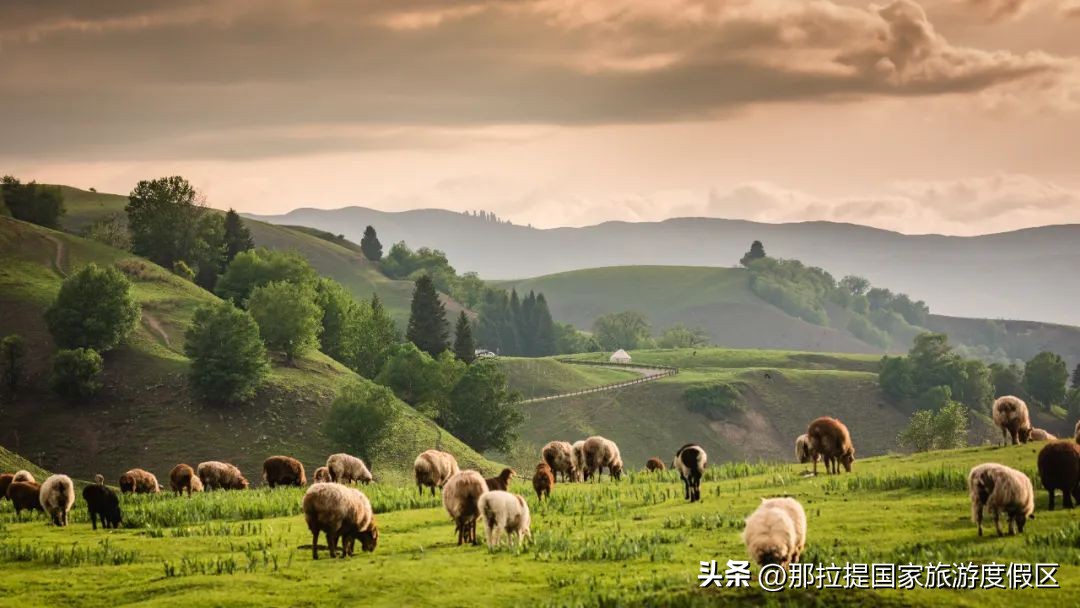 2023那拉提度假攻略：独库公路自驾游（六）