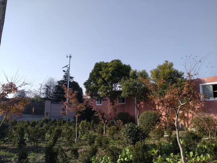 画与景,幼儿长卷画景