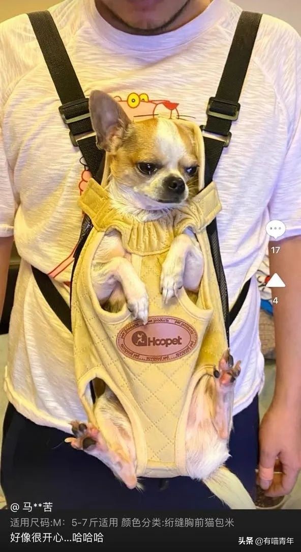 公鸡：他们在做啥午餐？猫：你老婆炖土豆