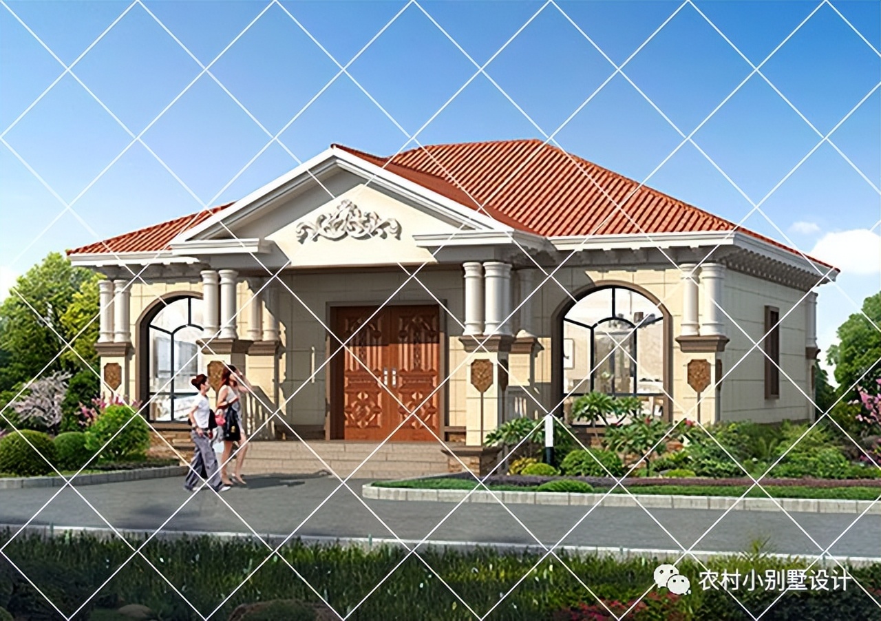 一层半层小别墅新款农村自建房,农村自建房一层别墅设计最新款