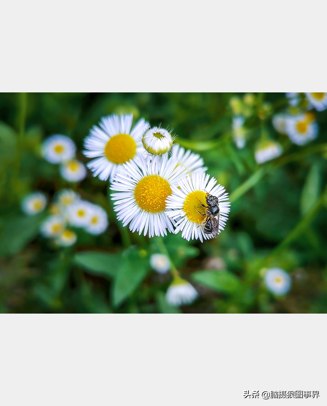 手机拍照不清晰怎么才能拍的好看,vivo手机拍照模糊怎样才能变清晰