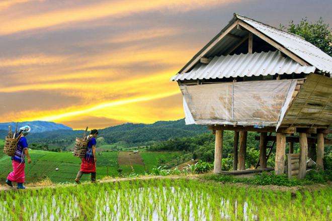 越南人与汉人的区别,越南汉族历史