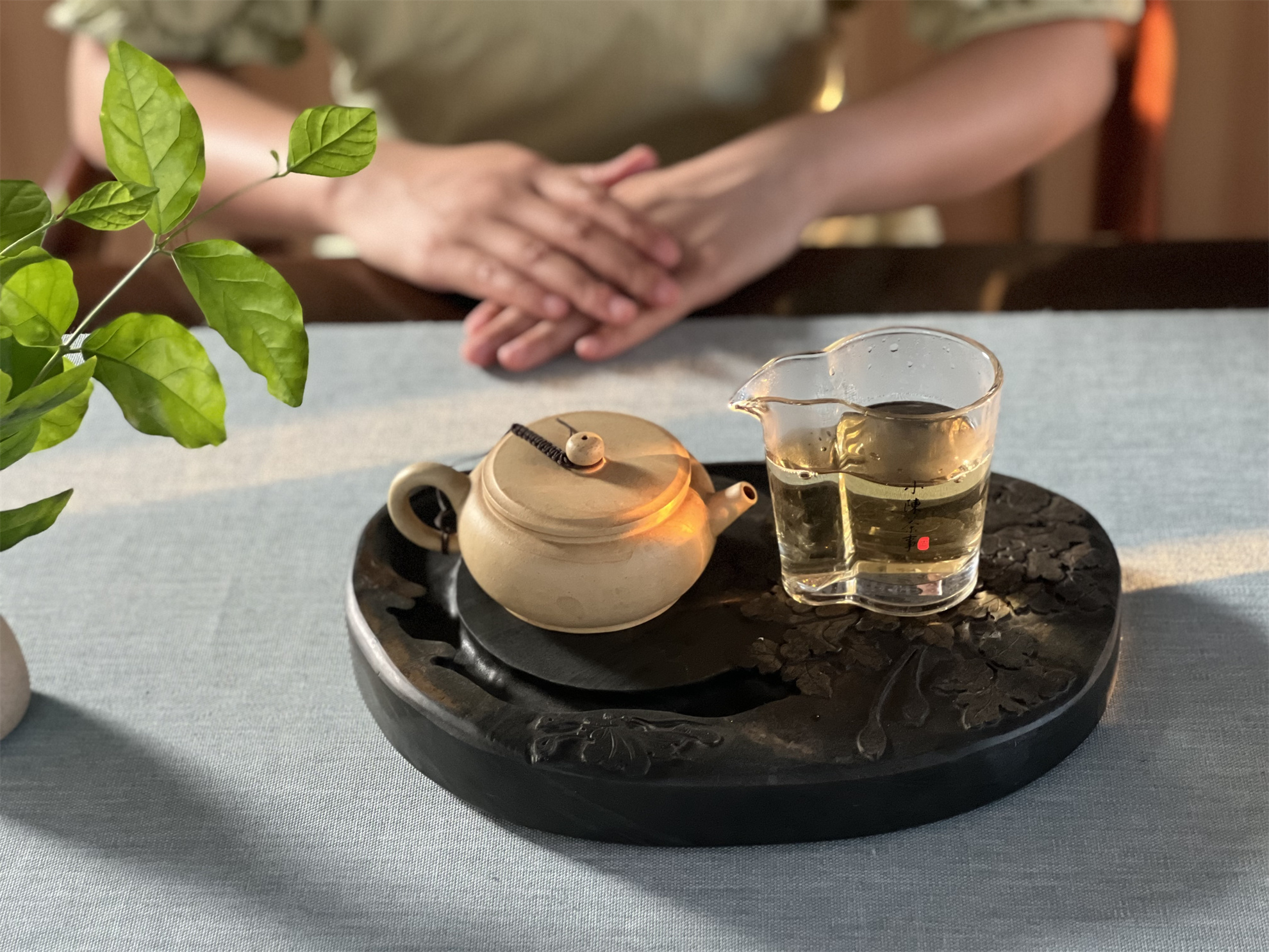 盖碗跟紫砂壶哪种适合泡白茶,白茶用紫砂壶还是盖碗