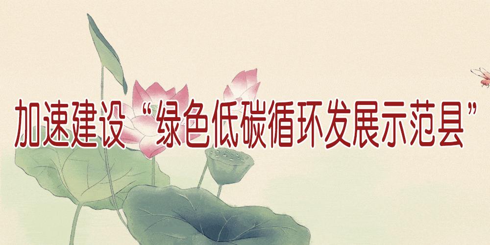 导游什么时候不能用导游旗,导游带团中未带导游旗如何处罚