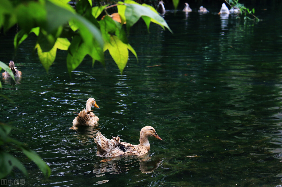 打了窝鱼口不好还要继续打窝吗,打了窝不发窝