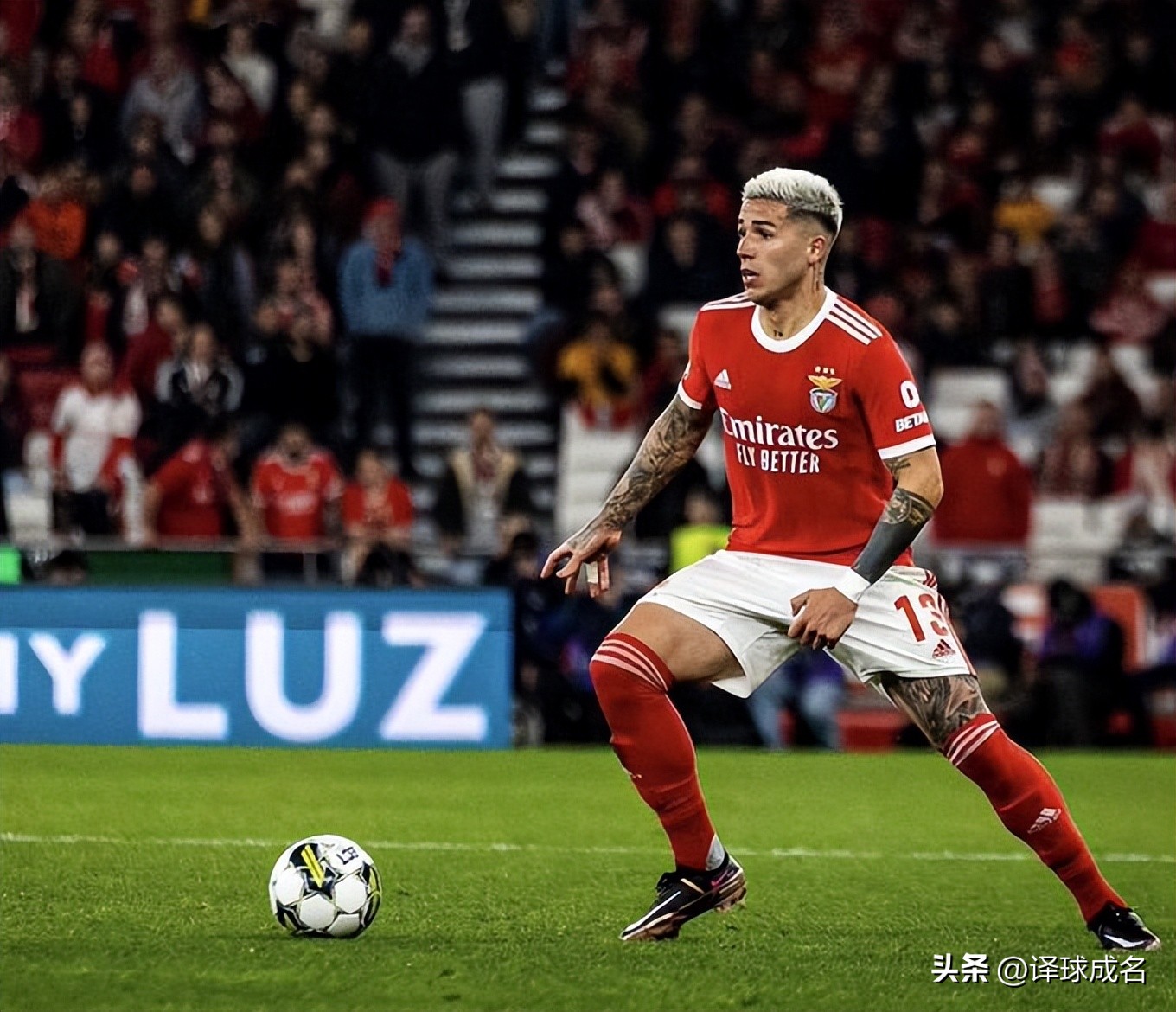 足球切尔西恩佐,切尔西足总杯恩佐