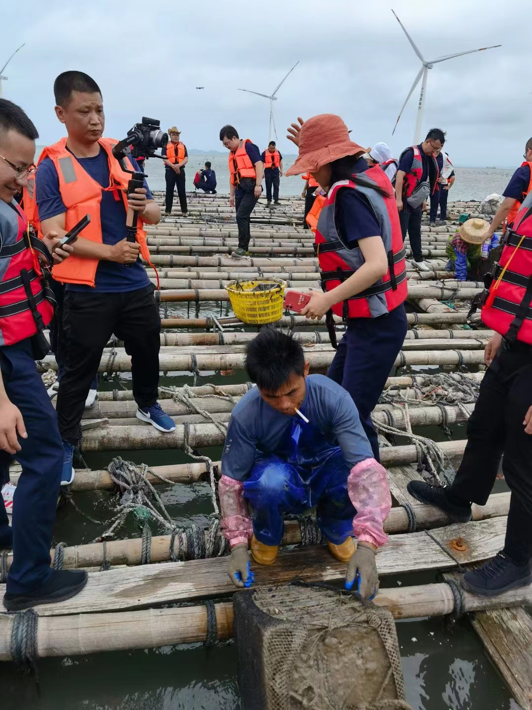 新西兰黑金鲍鱼购买,怎样挑选购买鲍鱼