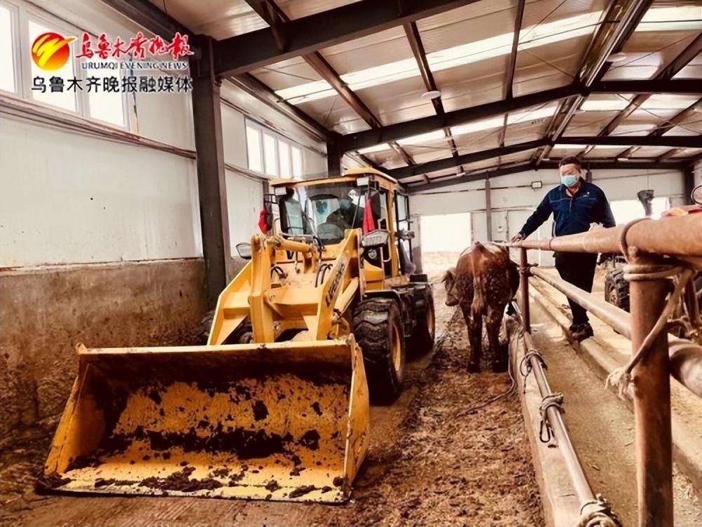 牛羊养殖助力三农,牛羊高效养殖综合技术宣传与推广