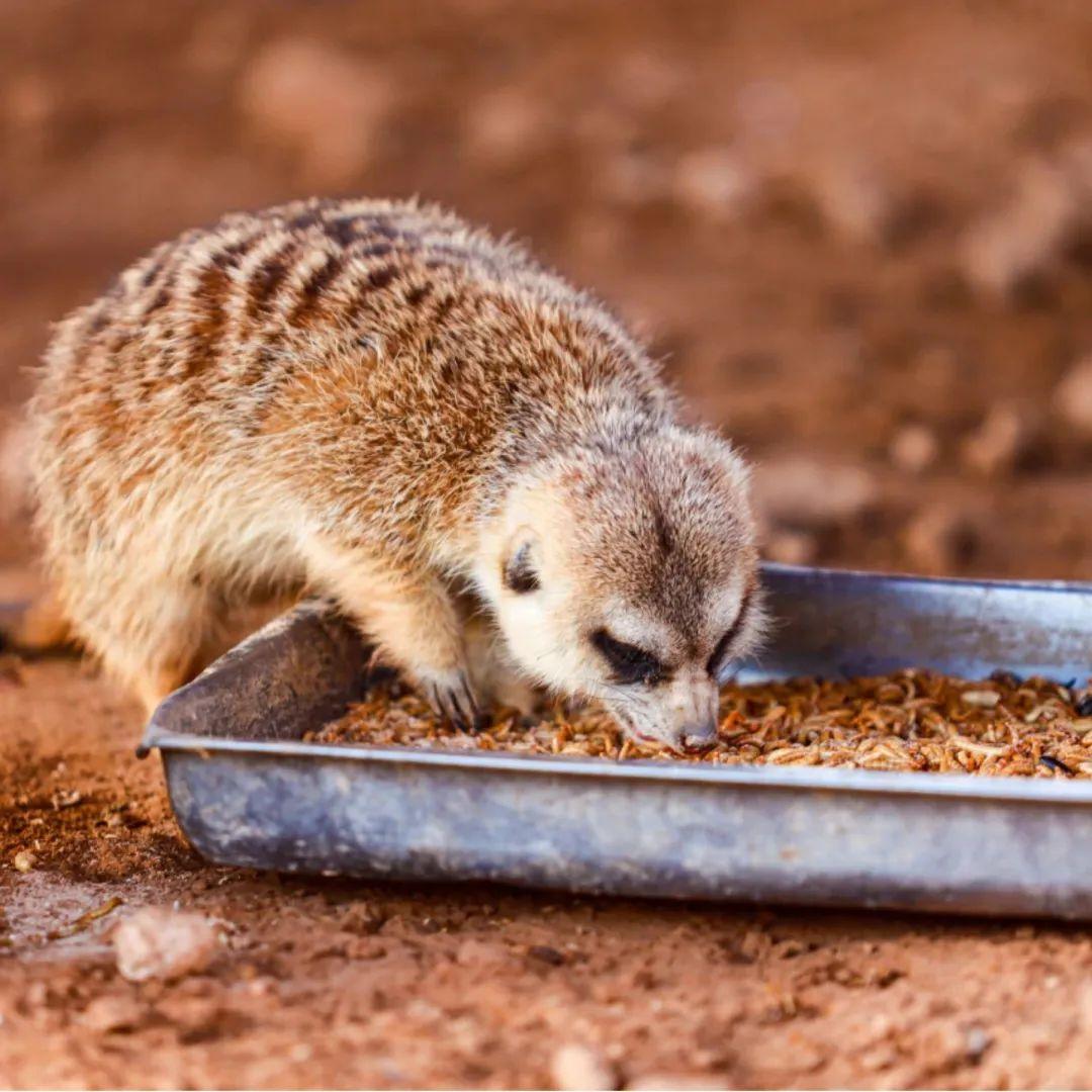 济南近郊旅游专线,济南开通的几条旅游线公交不错