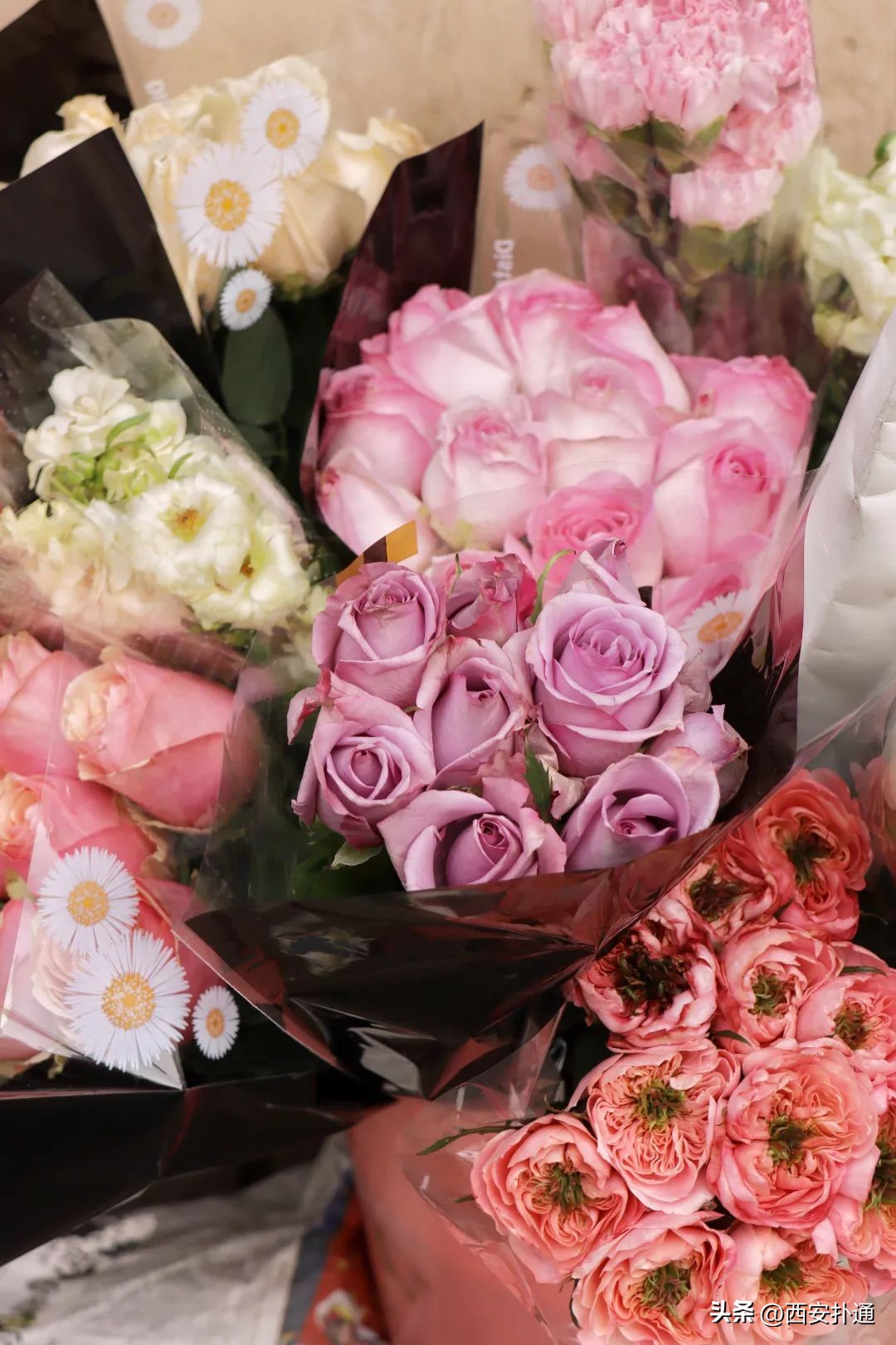 西安情人节去哪比较好,西安买花攻略