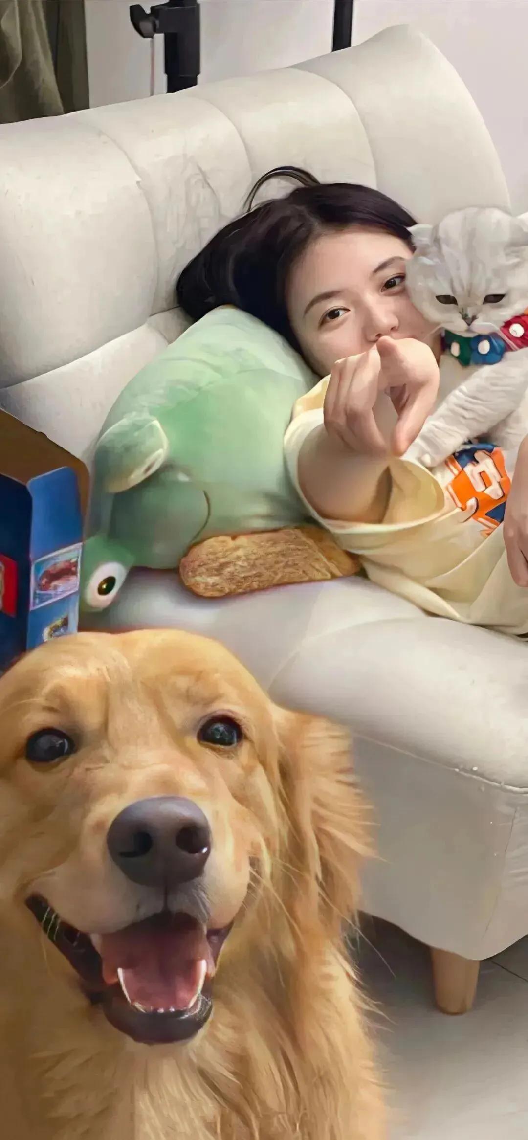 小说部落村庄,萤之光小说