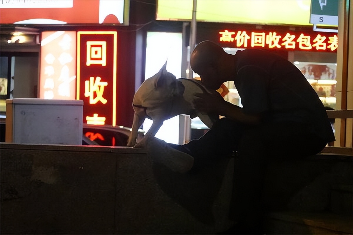 王天羲摄影作品,王天抒