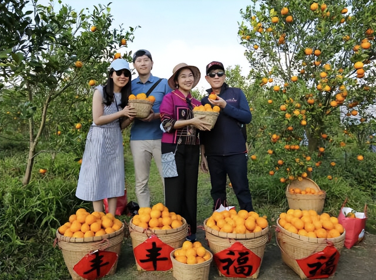 广东柑橘销售渠道,柑橘销售省份市场