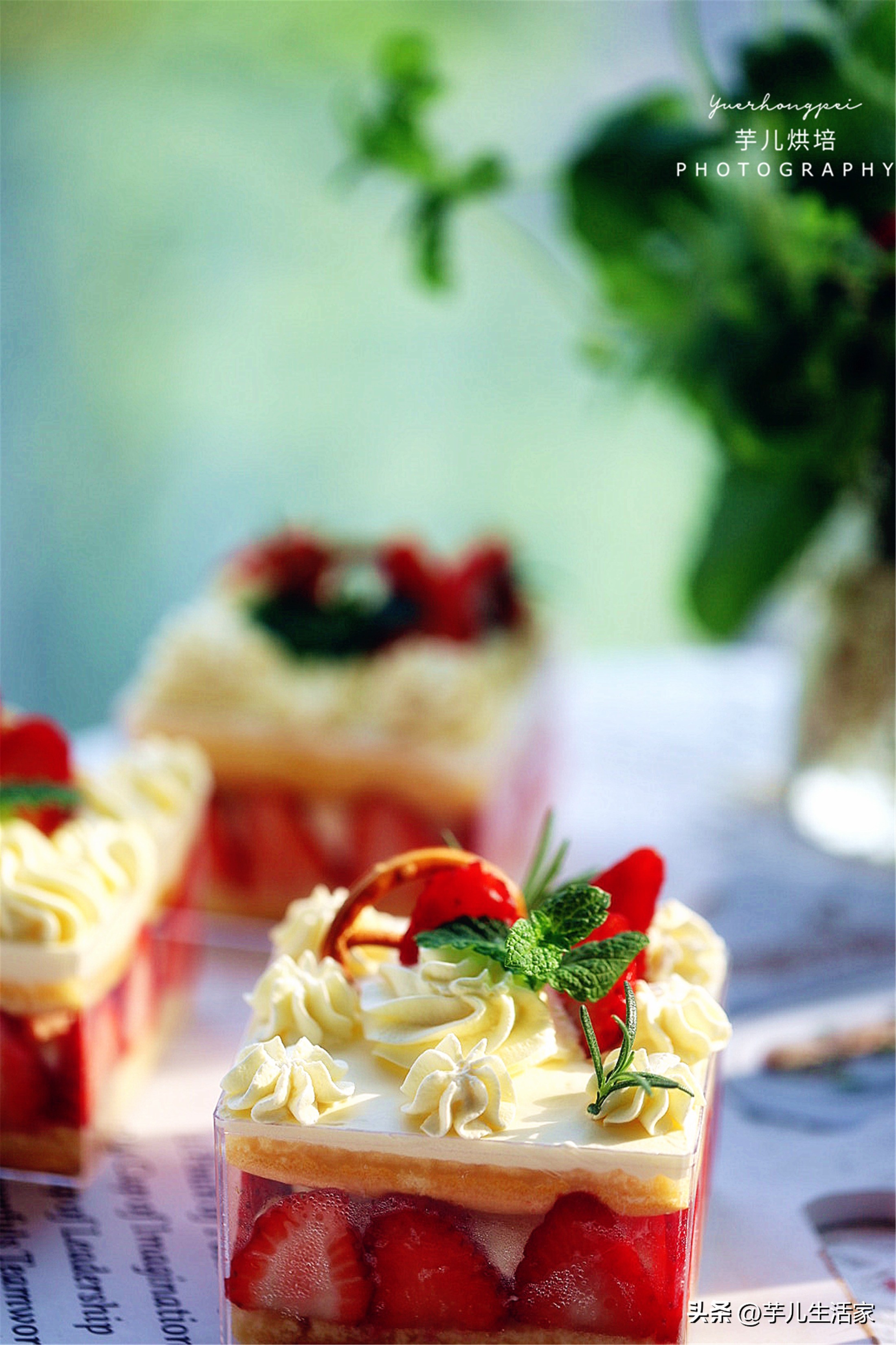 春游必备小甜品蛋糕,夏日野餐必备盒子蛋糕