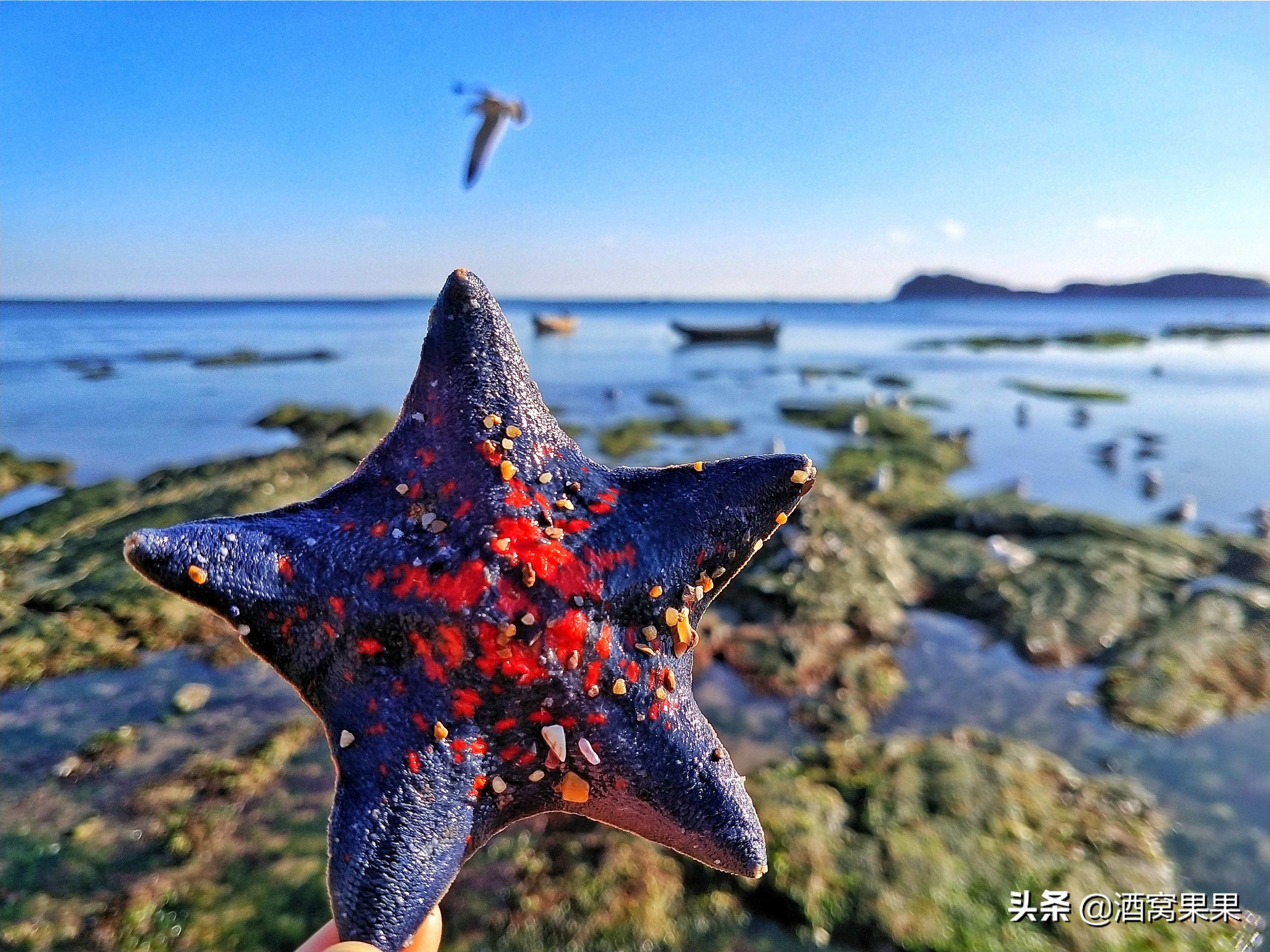 大连大学毕业有多少人留在大连,毕业留大连好吗