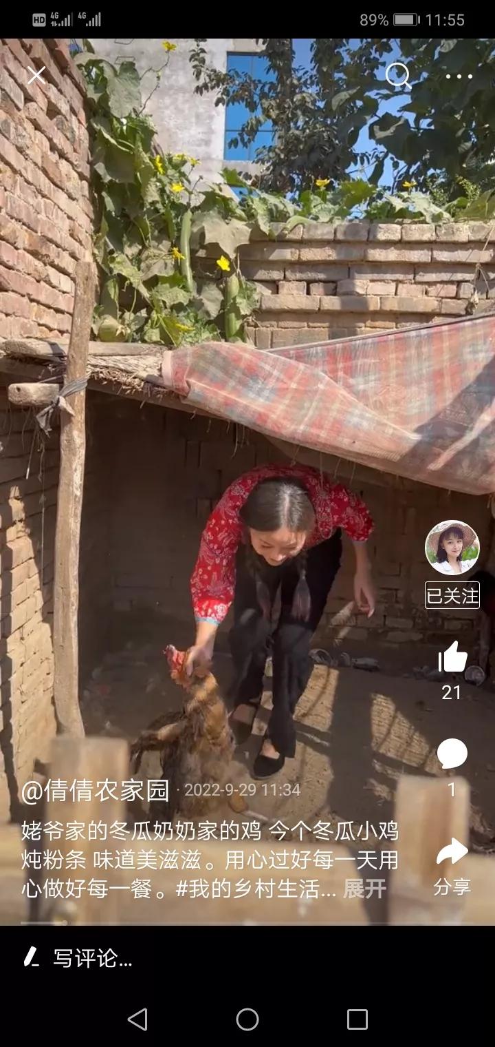 奶奶养的鸡逃了,奶奶养了两年没舍得吃的鸡