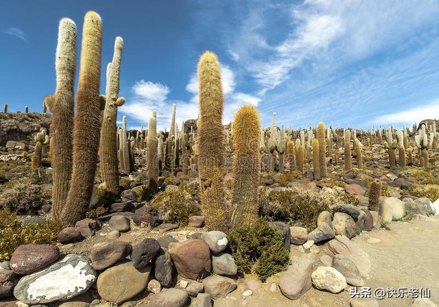 多民族混合家庭,多民族大家庭