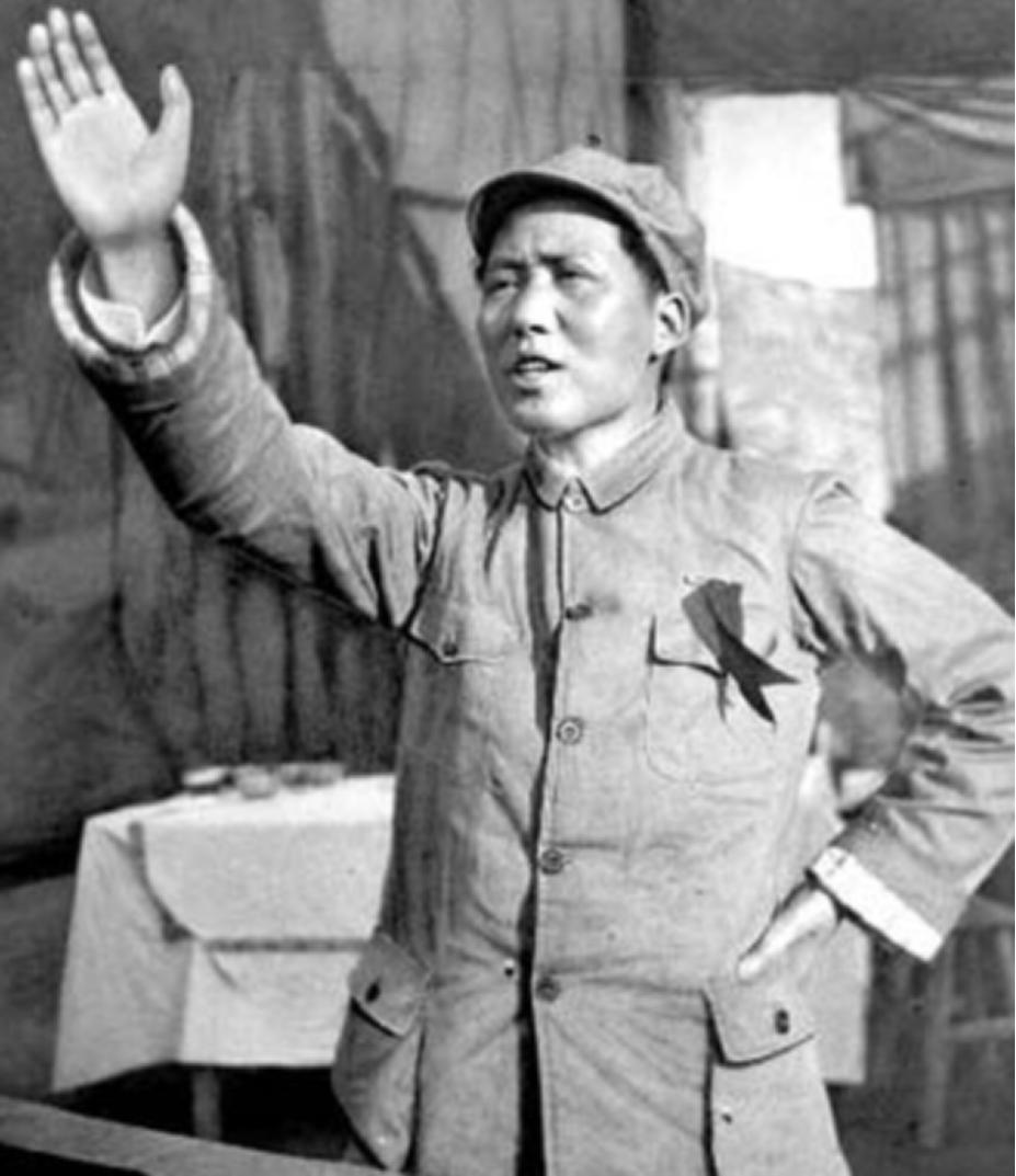 黑狸虎王兆相,黑狐王被小虎拿石头砸死