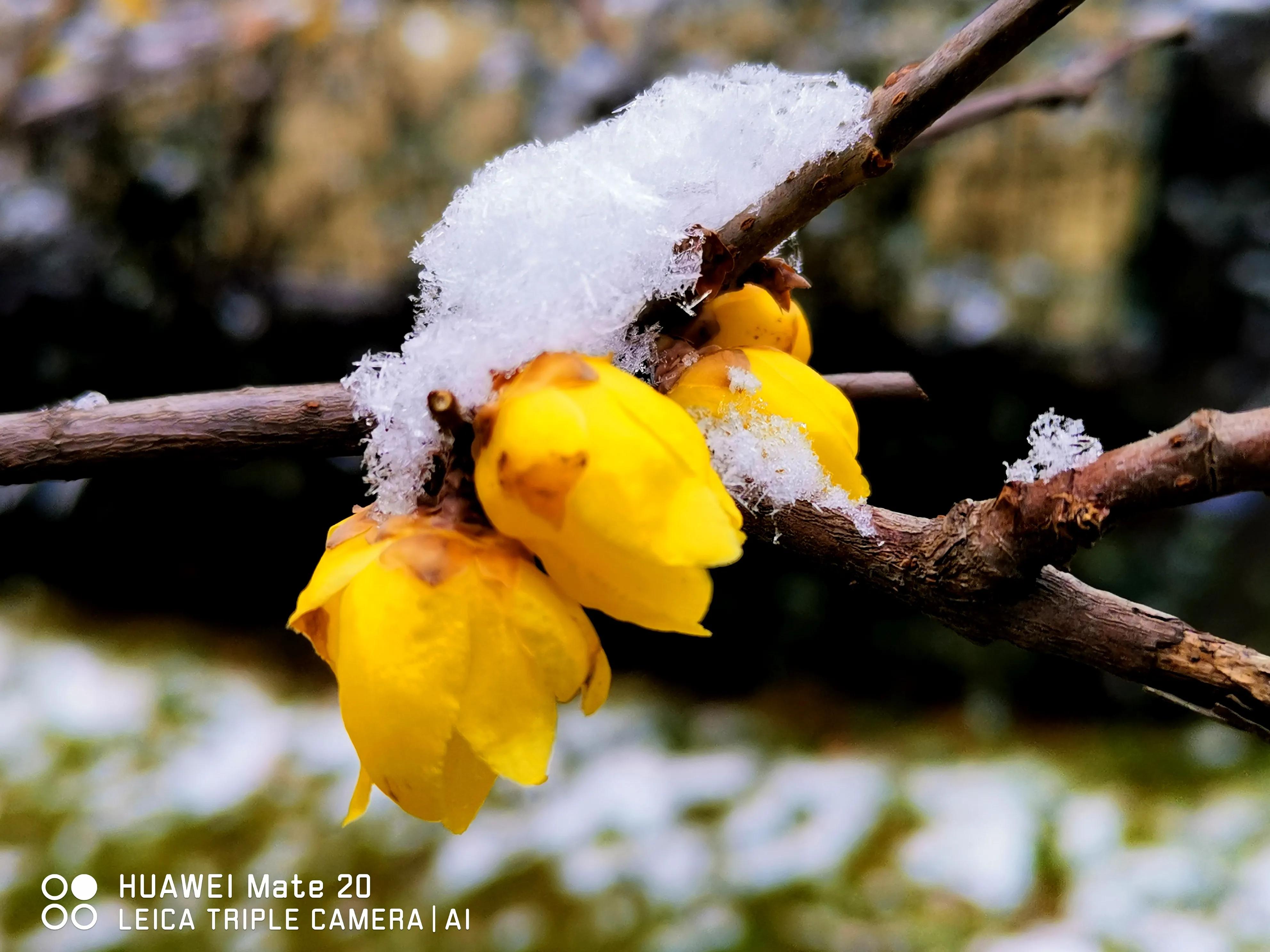 春节随笔高中800字,写春节的随笔50字