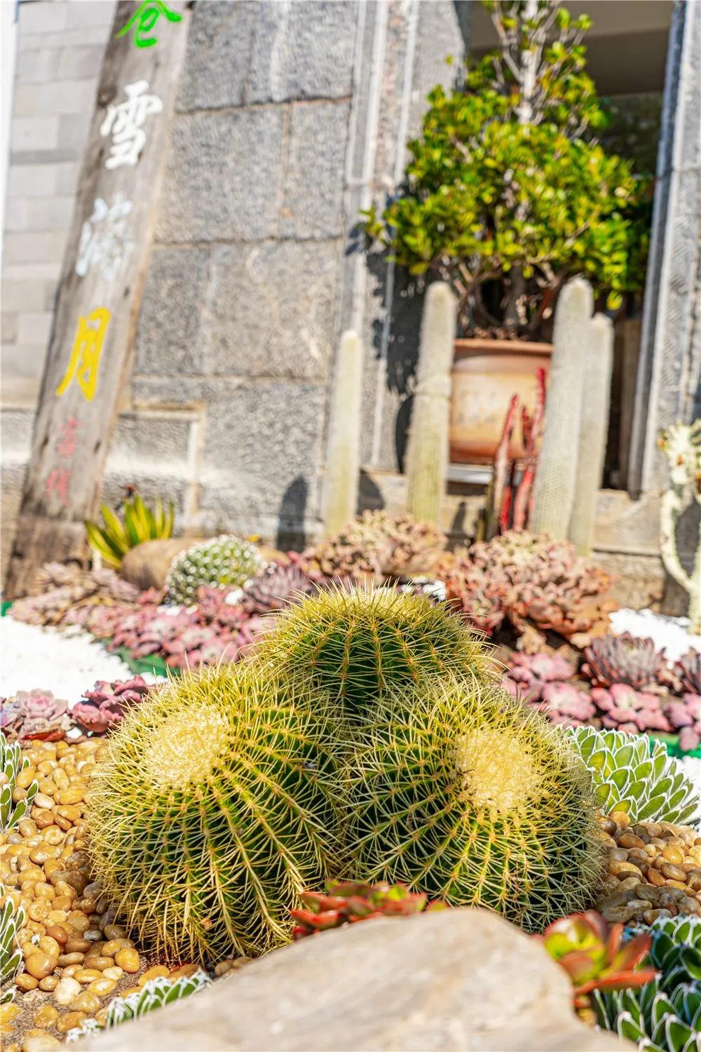 带你去双廊,住在浪漫的双廊洱海边看风景