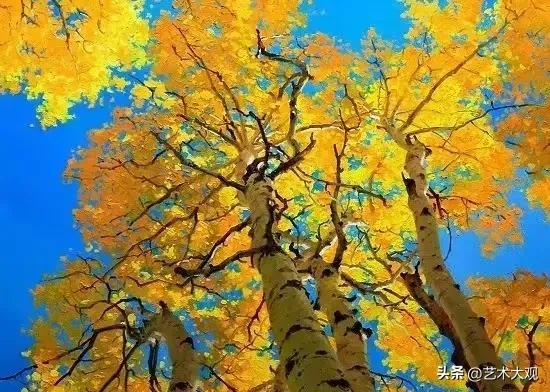 韩国画家水彩画花卉作品,韩国画家画的油画视频