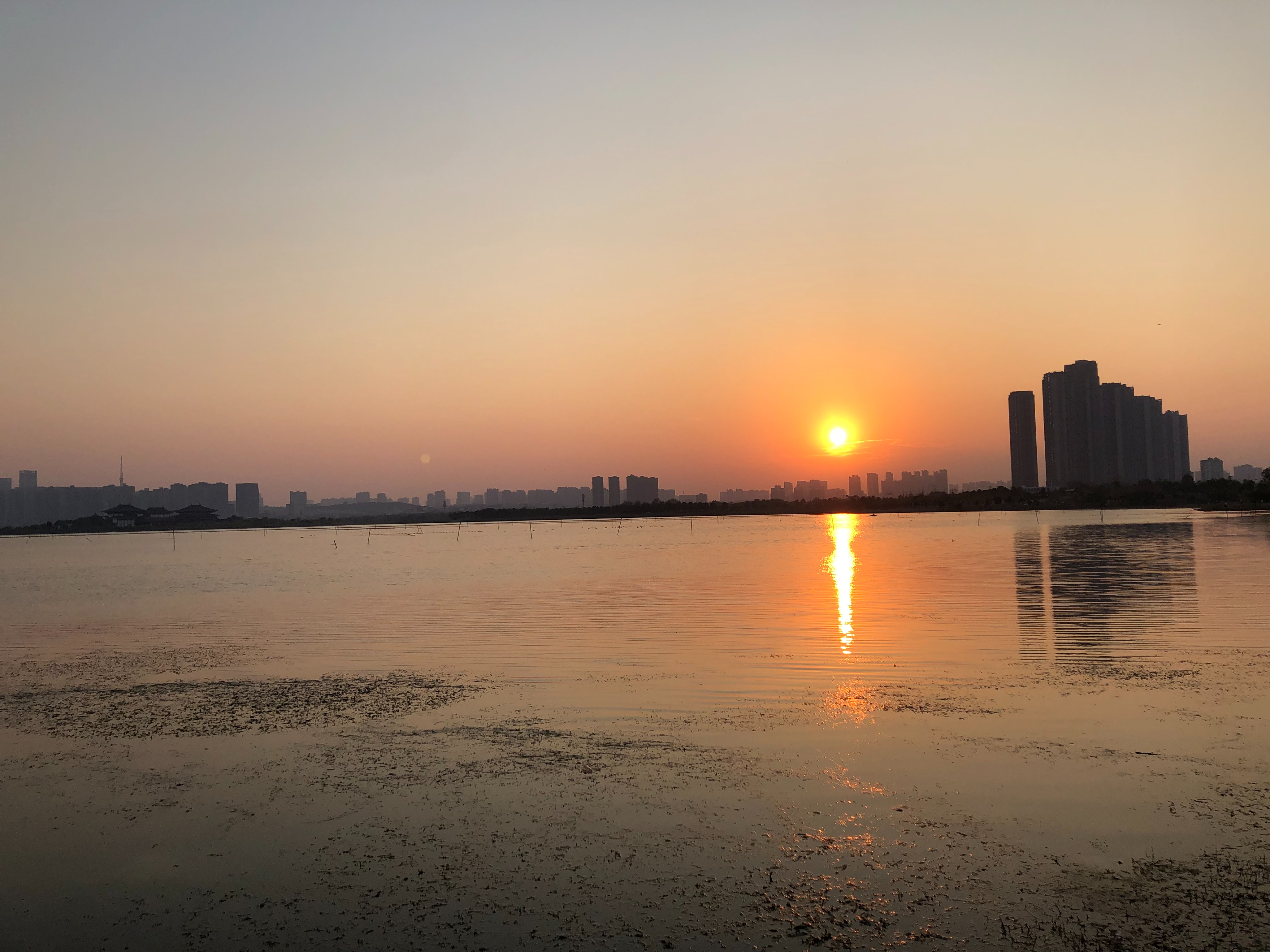 海滨松雅湖湿地公园,2020年长沙松雅湖湿地公园