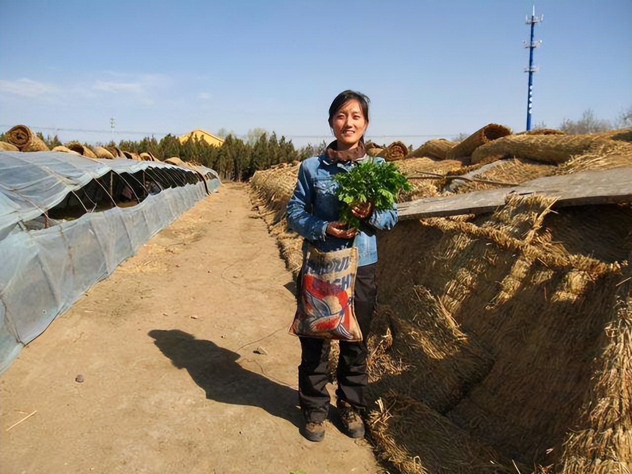 清华女博士放弃高薪工作,清华女生放弃百万年薪去乡村教书