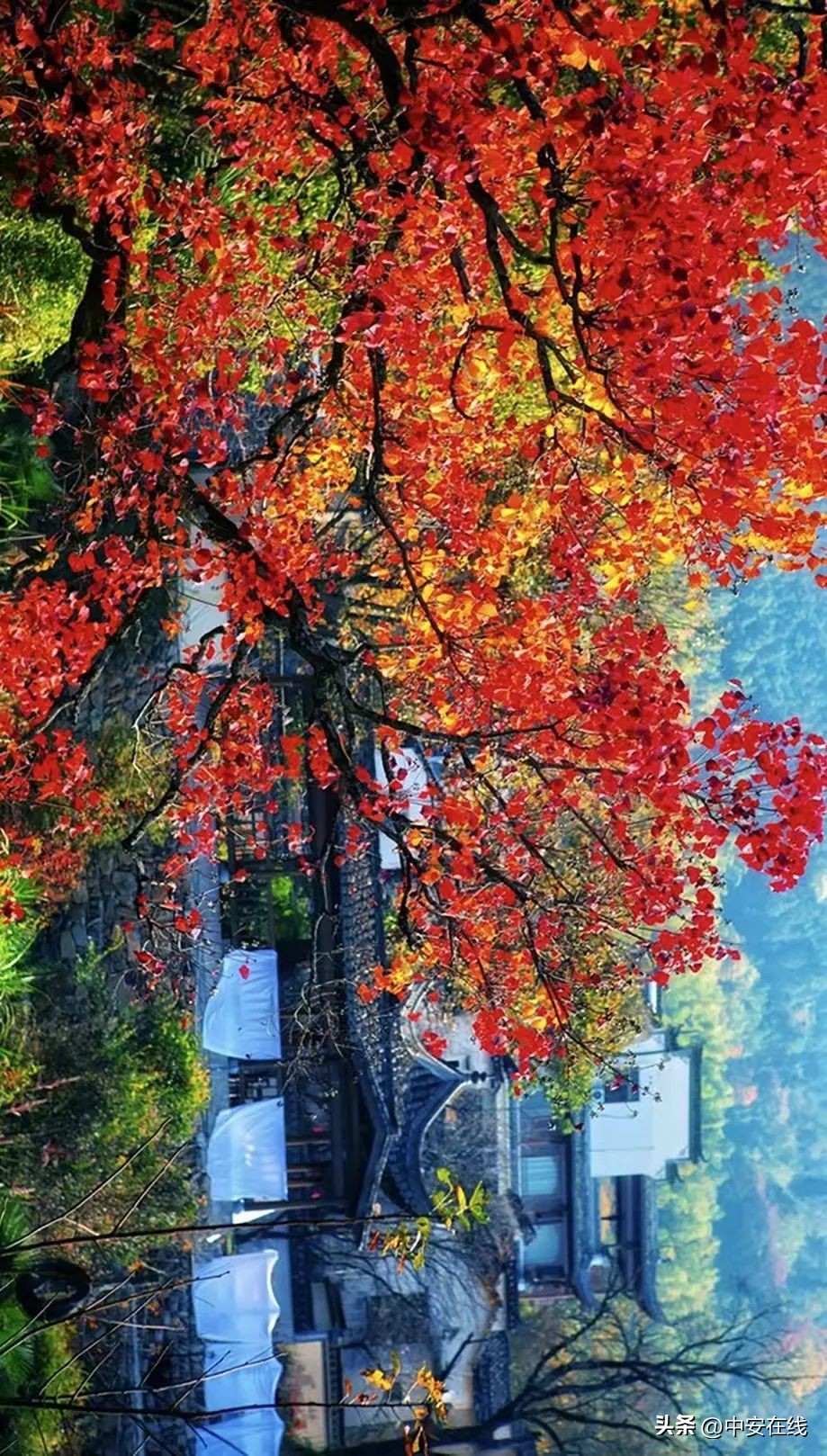 安徽有几个国家历史文化名城,安徽国家历史文化名城有哪些