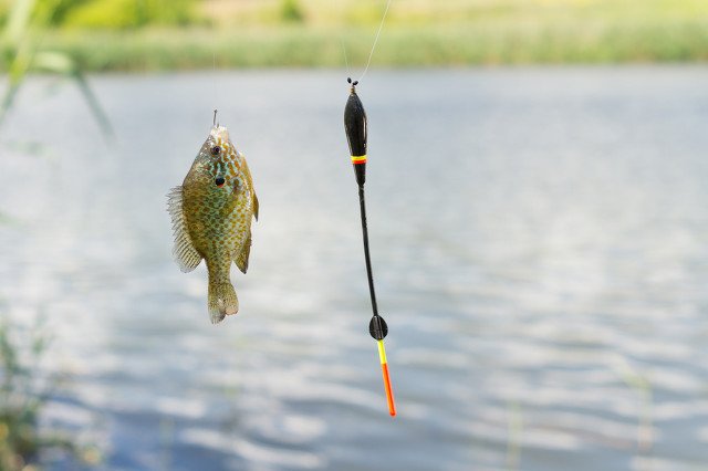 新手绑钩干货教程,详解绑钩诀窍