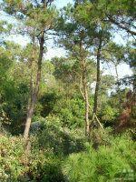 我们是工人我们是军人：中国核工业741矿（00251部队）的来龙去脉