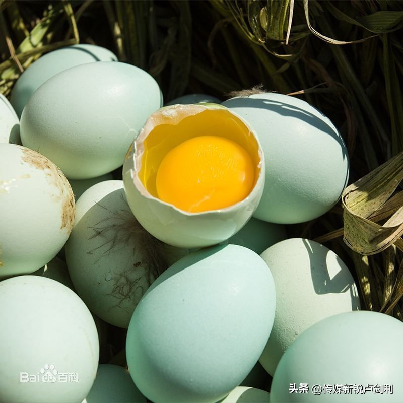 乡村旅游市场策略有哪些,乡村旅游营销策略图片