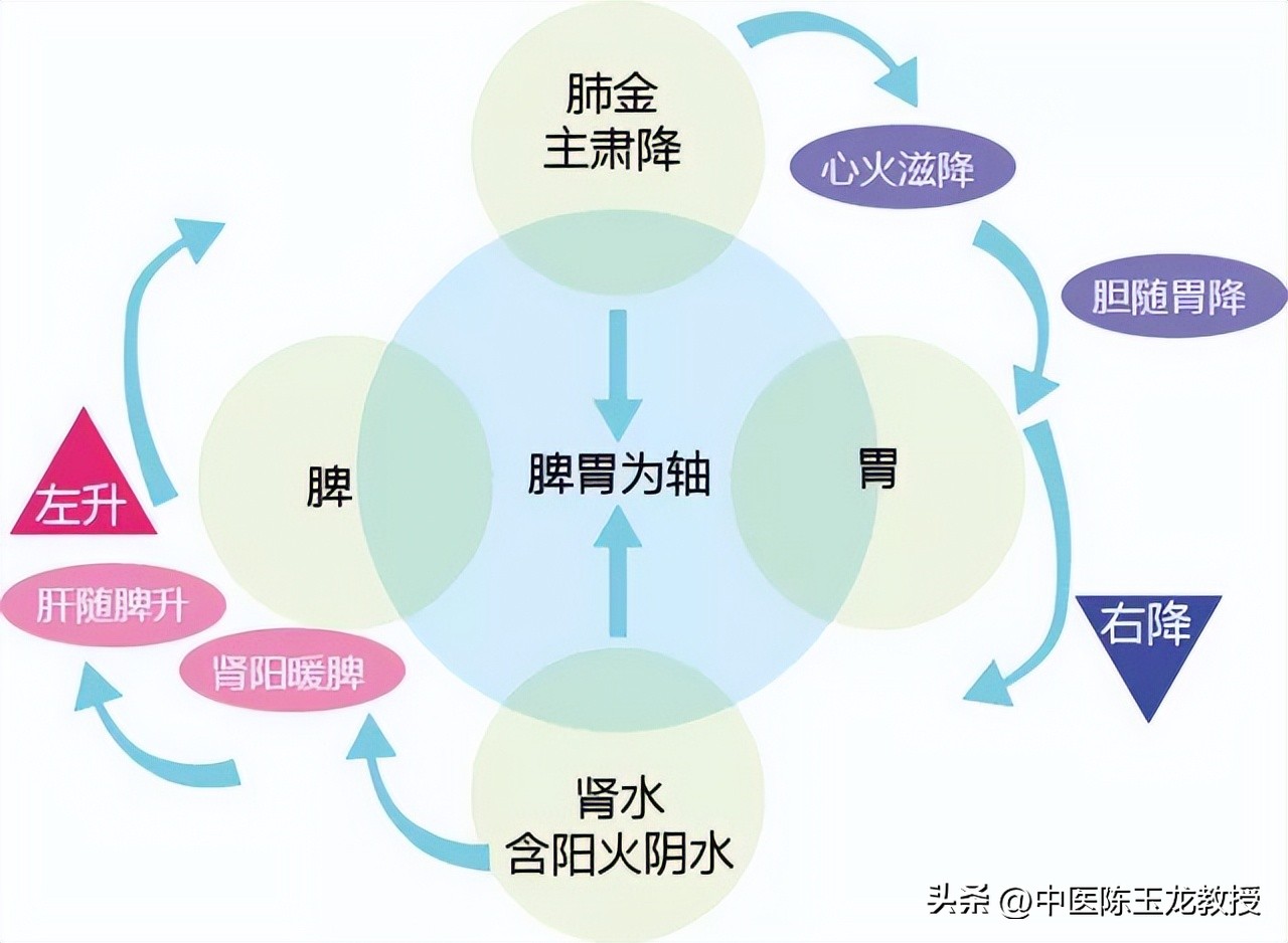 疏肝化瘀中药奇方,调理肠胃治胃病的中成药