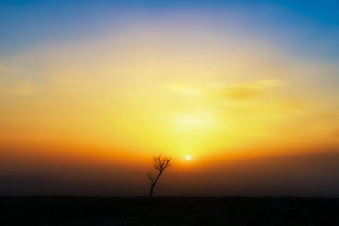 坤鹏论：读《泰阿泰德篇》探究知识是什么（四十三）