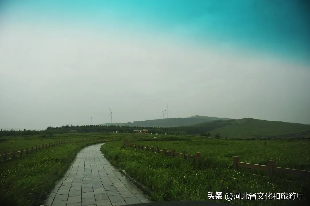 *情纵**草原畅玩河北|风车,草甸,银河……在河北的草原上拥抱无尽诗意与浪漫