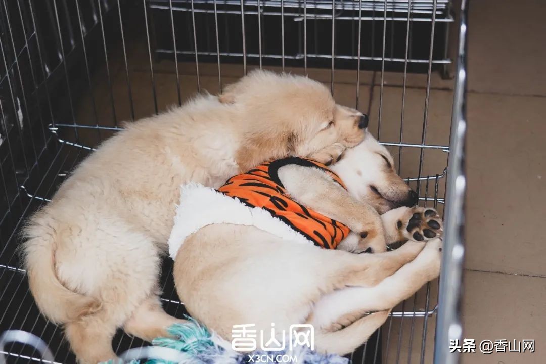 珠海城中村都有哪些村,珠海最新城中村改造公布