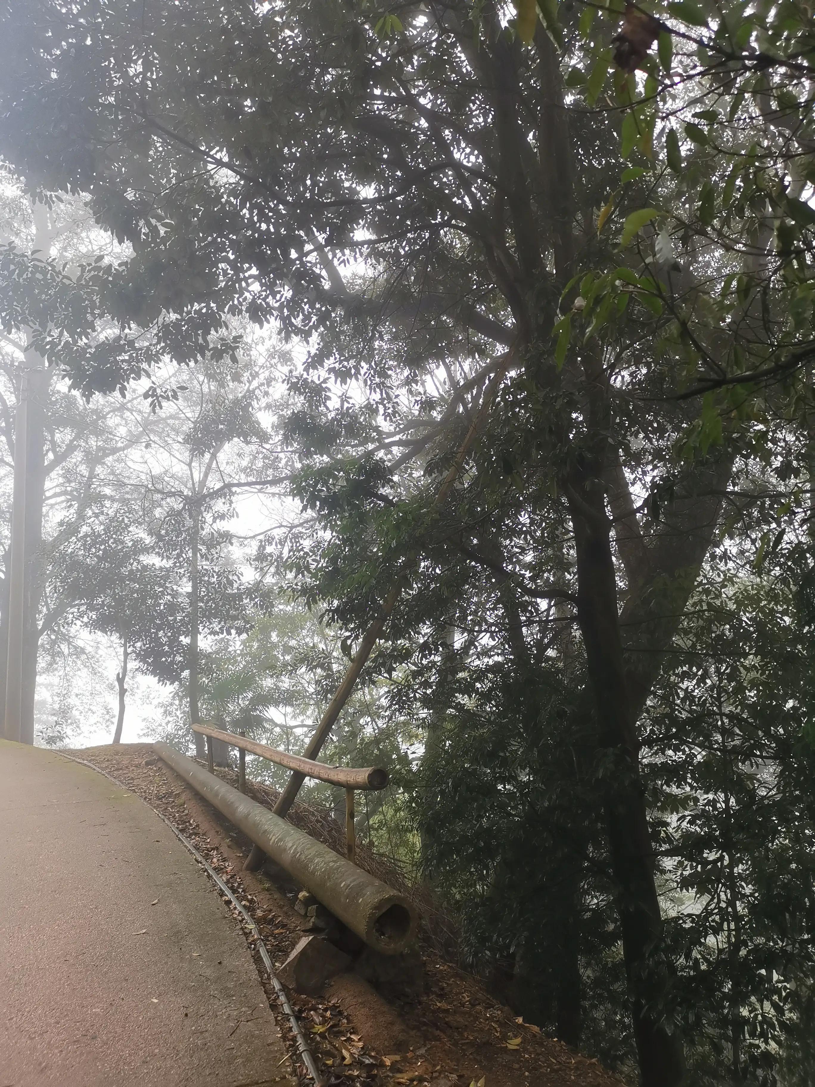 历经风雨归来仍是少年下一句,历经沧海桑田归来仍是少年