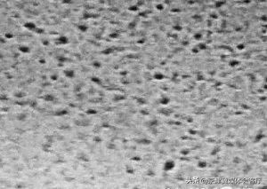 纯净水能除氯吗,精子稀释液可以用生理盐水吗