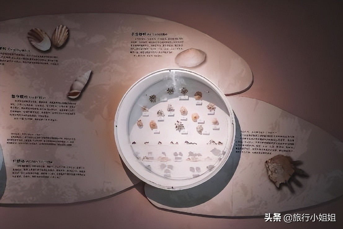 夏日海边浪漫迷人,滨城风光秀丽浪漫气息爆表