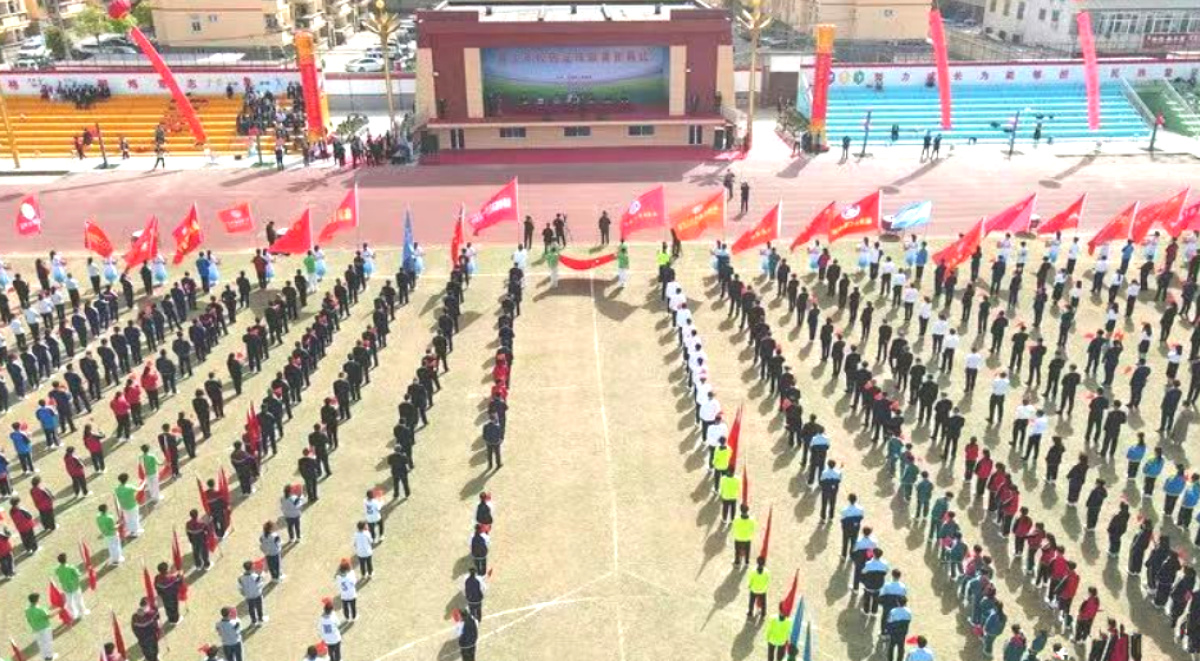 临颍县县长杯足球赛小学组比赛,临颍县青少年足球联赛