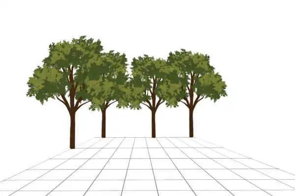 板绘树怎么画简单又好看,板绘风景教程入门