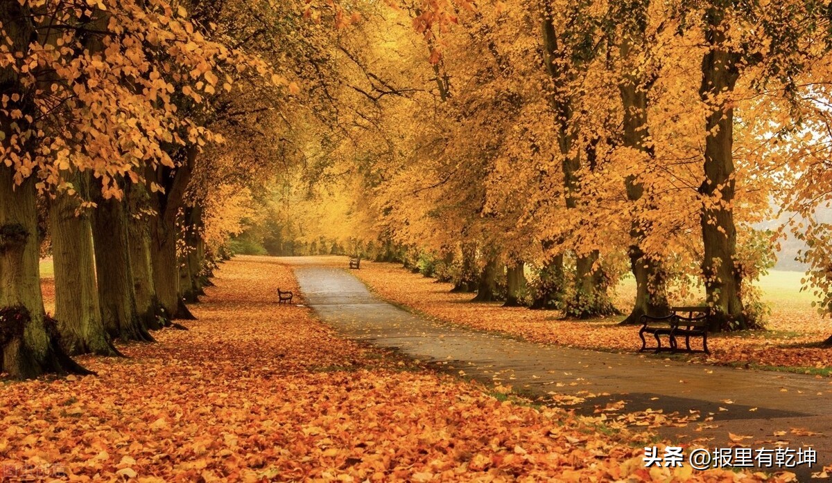 目光长远，方能行稳致远：向人民日报学拟标题写金句（10.8-15）